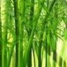 竹纤维